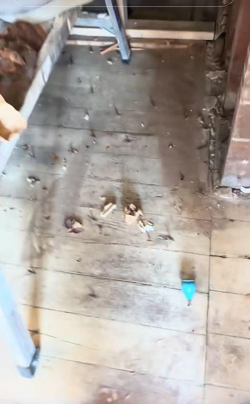 După un an de renovări, un cuplu a descoperit o colecţie bizară de obiecte ascunsă într-un perete al unei case vechi de 146 de ani 1041731