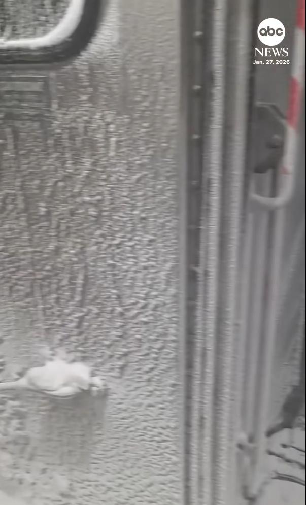 "E ca-n Narnia". Imagini virale dintr-un tren care a plecat din New York plin de gheață și zăpadă în compartimente 1043215