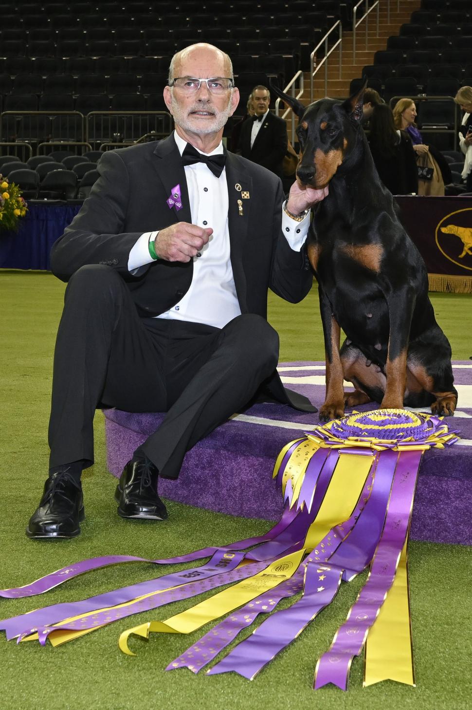 Penny, un Doberman Pinscher, a câștigat Best in Show la competiția canină Westminster 2026: „A făcut un spectacol perfect” 1043542
