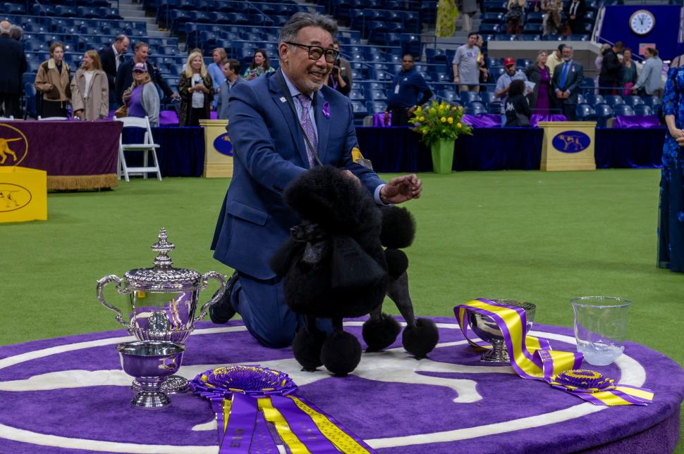 Penny, un Doberman Pinscher, a câștigat Best in Show la competiția canină Westminster 2026: „A făcut un spectacol perfect” 1043549