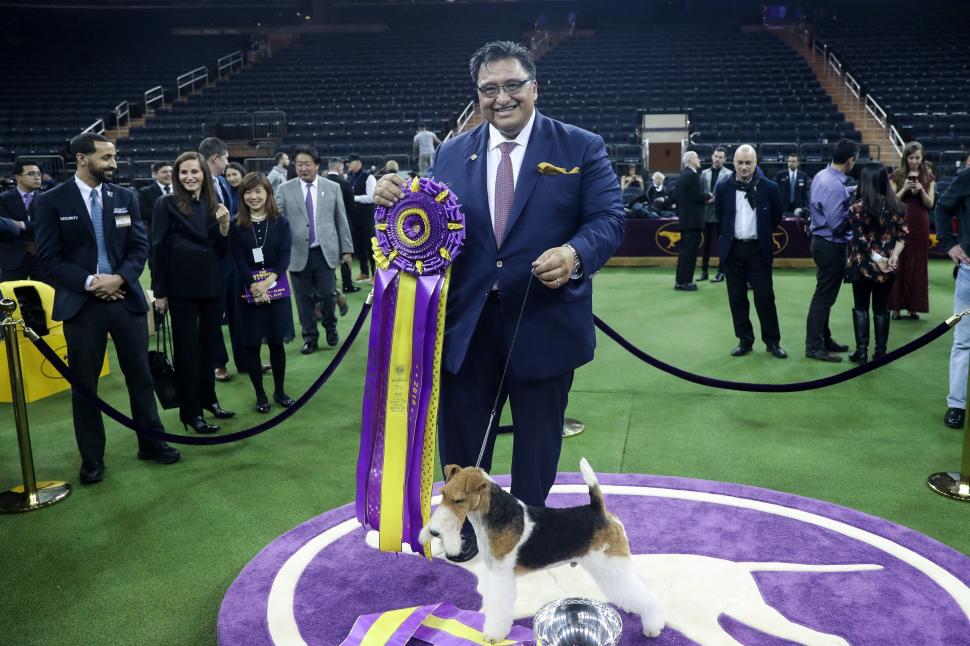 Penny, un Doberman Pinscher, a câștigat Best in Show la competiția canină Westminster 2026: „A făcut un spectacol perfect” 1043551