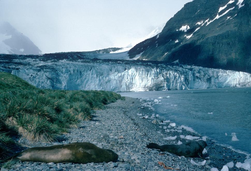„Ghețarul Apocalipsei” se topește mai repede decât credeam. Cum poate un zid de 150 de metri să împiedice inundarea Pământului 1043369