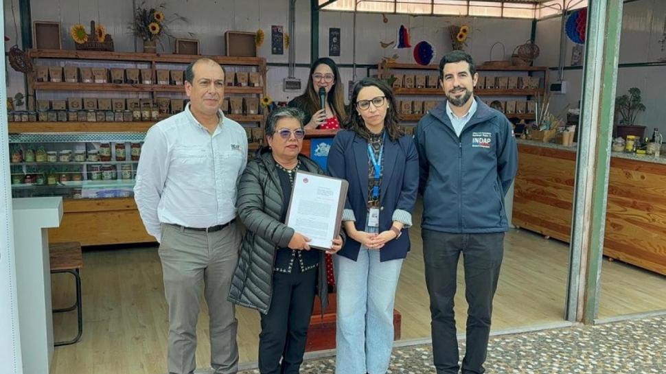 Paradisul verde din cel mai arid deșert din lume: În serele din Atacama, salata verde crește fără pământ, cu apă desalinizată din ocean 1044158