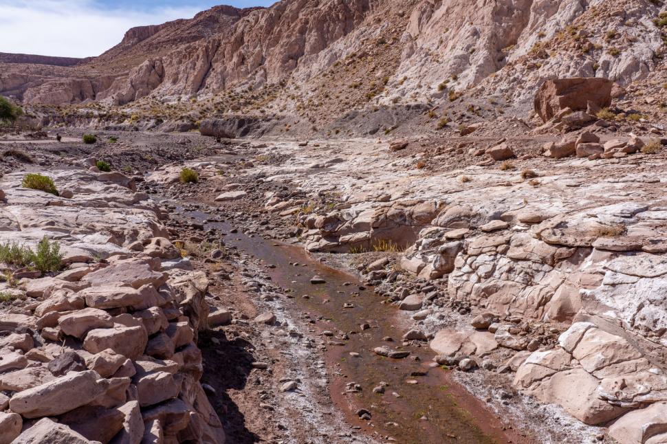 Paradisul verde din cel mai arid deșert din lume: În serele din Atacama, salata verde crește fără pământ, cu apă desalinizată din ocean 1044160