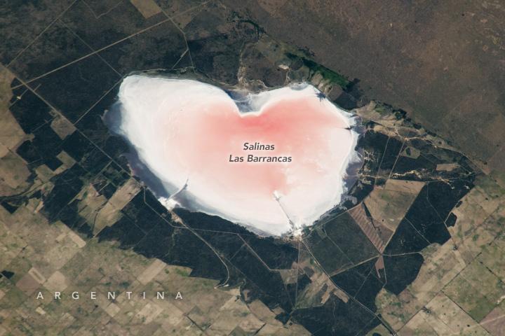 Un astronaut a descoperit o „inimă” sărată și roz pe Pământ, care își schimbă culoarea: NASA a publicat imaginea de Valentine's Day 1045005