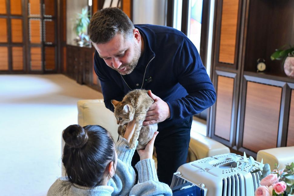 Ciprian Ciucu și-a luat pisică și la Primăria Generală. Cathy a fost găsită grav rănită pe stradă și a fost adoptată  1045703
