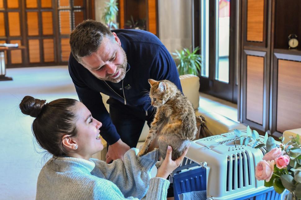 Ciprian Ciucu și-a luat pisică și la Primăria Generală. Cathy a fost găsită grav rănită pe stradă și a fost adoptată  1045707