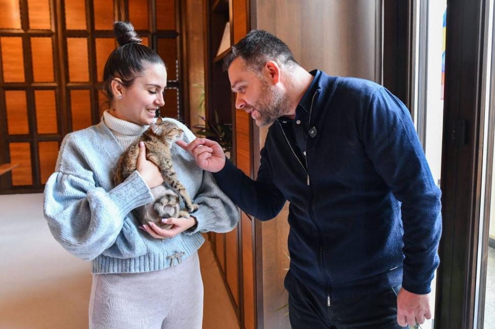 Ciprian Ciucu și-a luat pisică și la Primăria Generală. Cathy a fost găsită grav rănită pe stradă și a fost adoptată  1045718