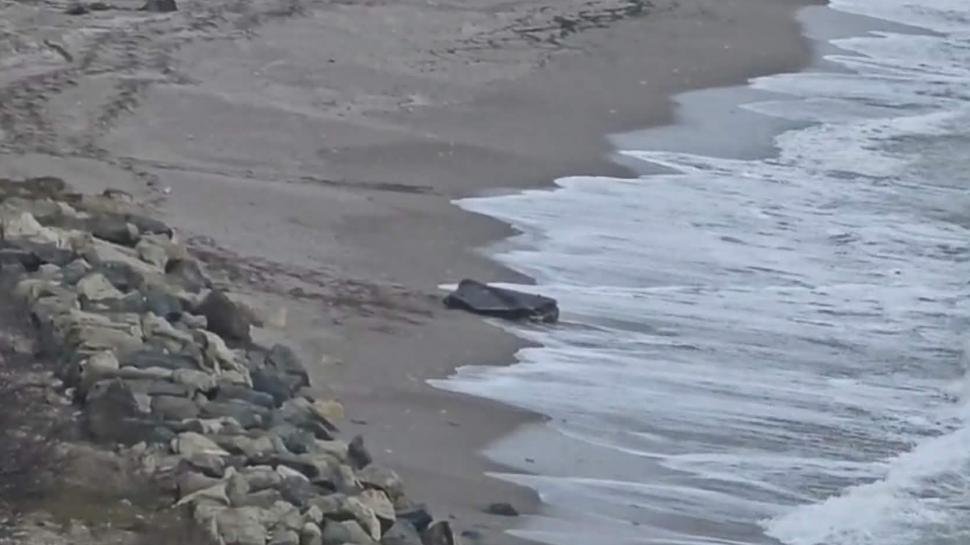 Încă o dronă a fost găsit pe plajă, între Costinești și Tuzla. Se verifică dacă e rusească 1045667