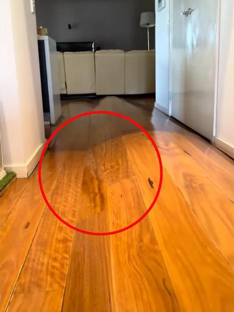 O casă a fost distrusă de o mică fisură în țeava de apă. Doi soți plecați în vacanță s-au trezit cu pagube de 100.000 $ la întoarcere 1045686