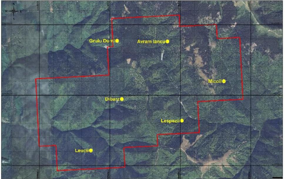 Comoara de la Valea Leucii. Zăcăminte rare descoperite în vechile mine din Bihor. „Lumea din zonă își dorește să înceapă exploatarea” 1046064
