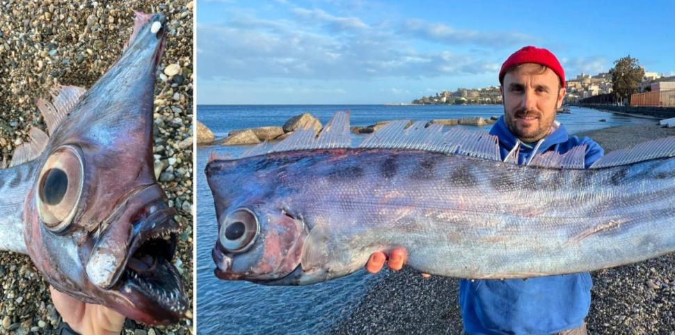 Supranumit "unicornul mărilor", un pește rar a fost găsit eșuat pe o plajă din Italia. "Pare desprins dintr-o poveste mitologică" 1046024