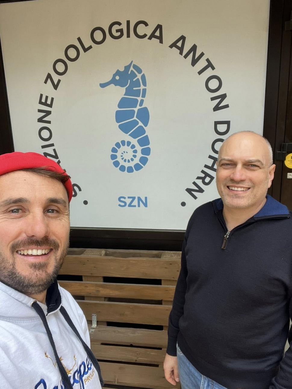 Supranumit "unicornul mărilor", un pește rar a fost găsit eșuat pe o plajă din Italia. "Pare desprins dintr-o poveste mitologică" 1046028