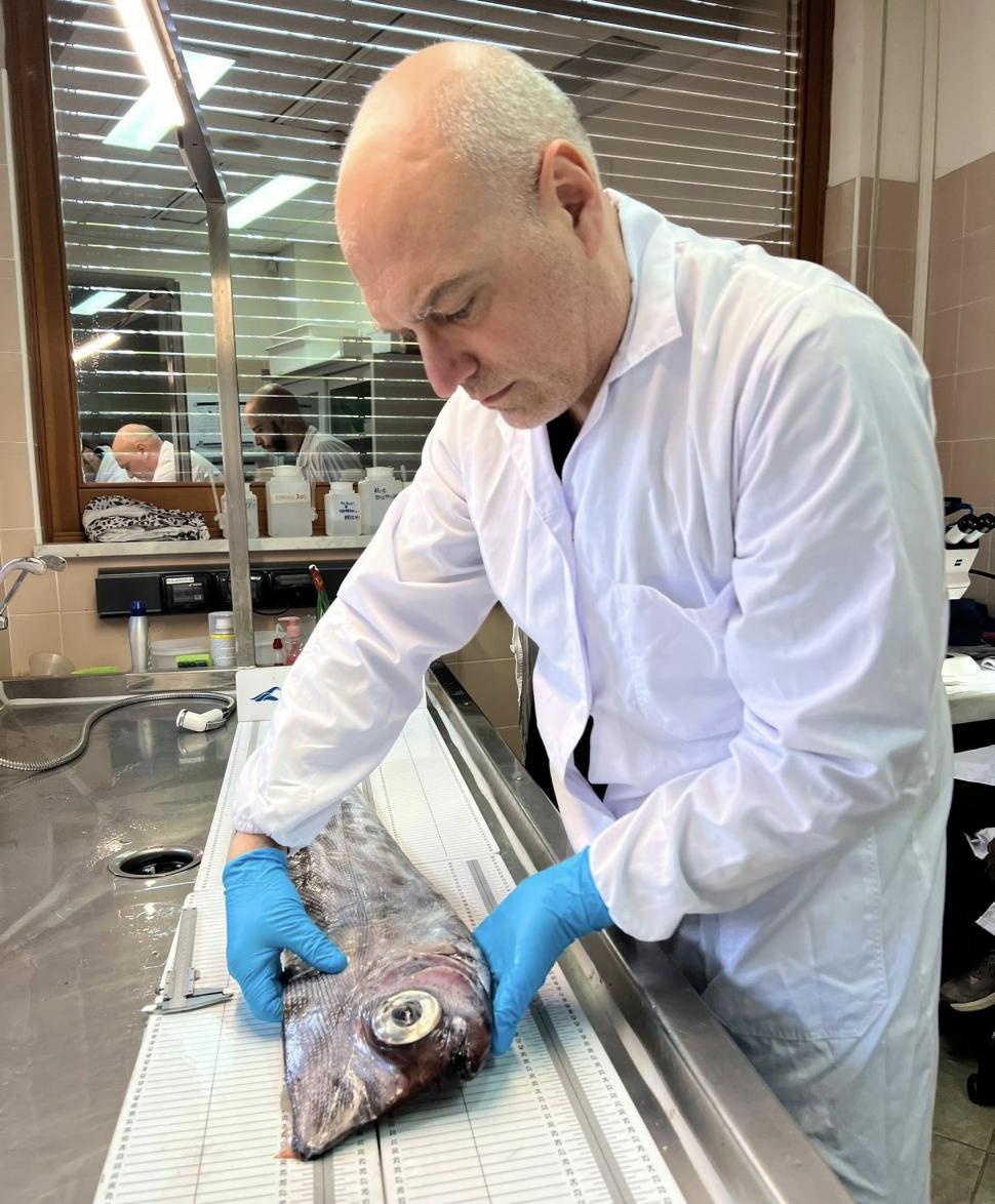 Supranumit "unicornul mărilor", un pește rar a fost găsit eșuat pe o plajă din Italia. "Pare desprins dintr-o poveste mitologică" 1046029