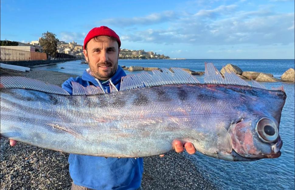 Supranumit "unicornul mărilor", un pește rar a fost găsit eșuat pe o plajă din Italia. "Pare desprins dintr-o poveste mitologică" 1046033