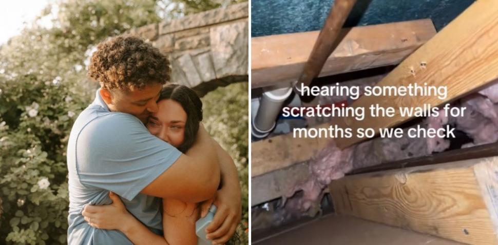 Luni întregi, un cuplu a auzit zgomote în pereții casei, iar când a decis să facă verificări, a fost găsit un "musafir nepoftit" 1045836
