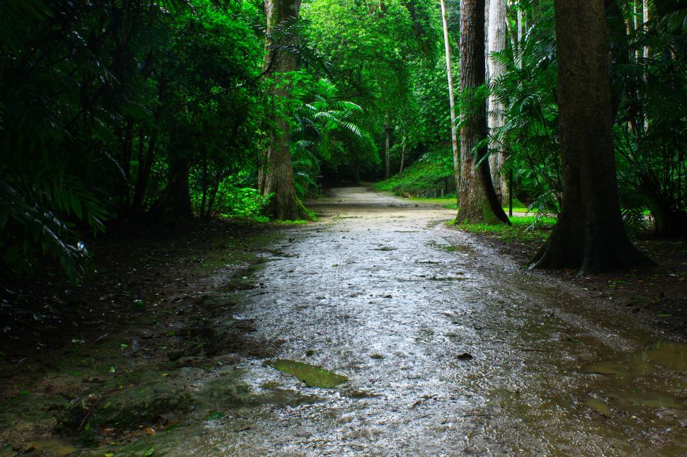 N-a fost nicio apocalipsă. Cum aproape tot ce credeam că știm despre mayași e greșit 1045797