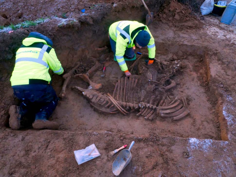 Descoperire arheologică neașteptată pe terenul unei universități: O așezare antică demult uitată a fost găsită întâmplător, la Dortmund 1046430