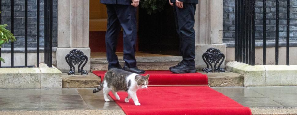  Larry, cel mai celebru motan, aniversează 15 ani la reședința premierilor britanici. Imagini cu cele mai importante momente ale sale 1046413