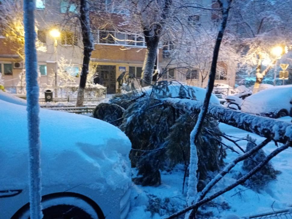 Bucureștiul e paralizat din cauza ninsorii cum nu a mai fost de 20 de ani. Oamenii abia merg prin zăpadă până la genunchi 1046962