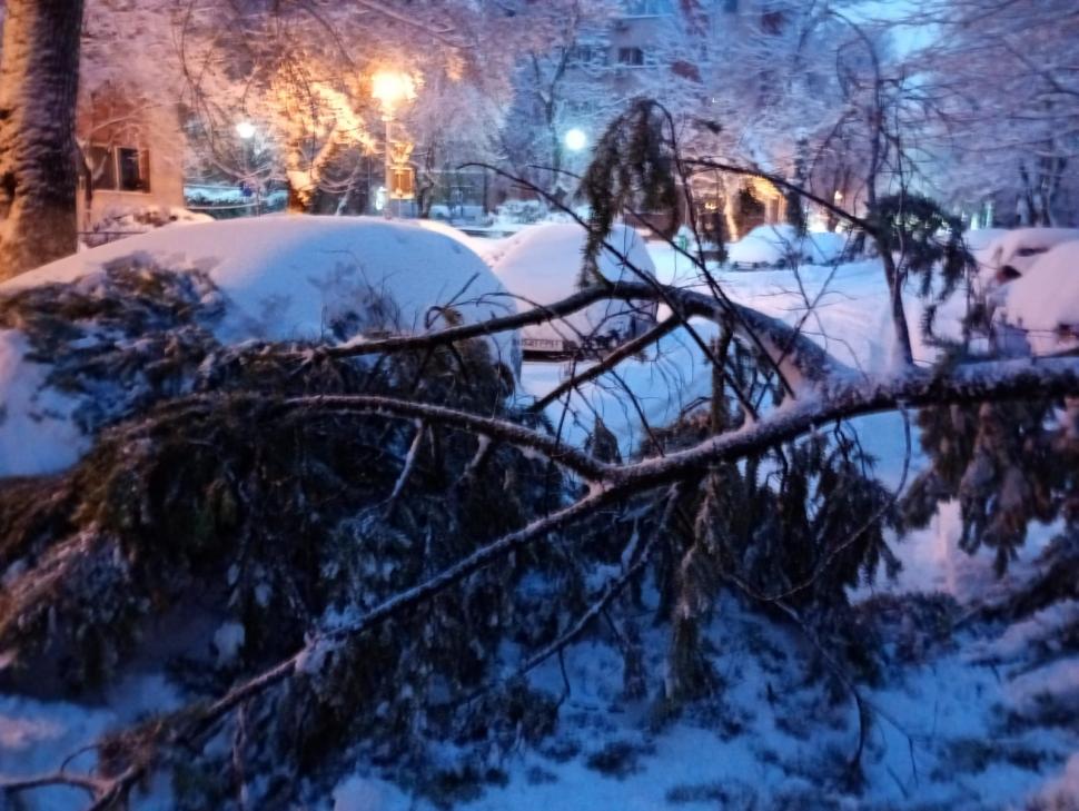 Bucureștiul e paralizat din cauza ninsorii cum nu a mai fost de 20 de ani. Oamenii abia merg prin zăpadă până la genunchi 1046963