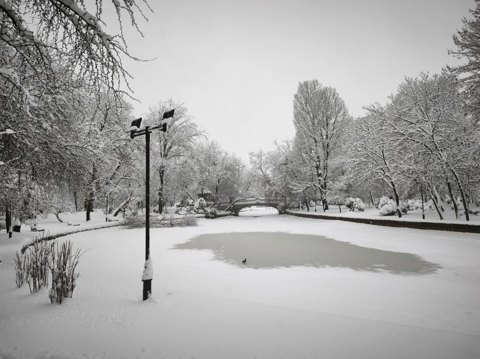 Cum arată Capitala sub jumătate de metru de zăpadă. Nu a mai nins așa mult în București de 18 ani: Copiii se joacă, adulții se plâng 1047190