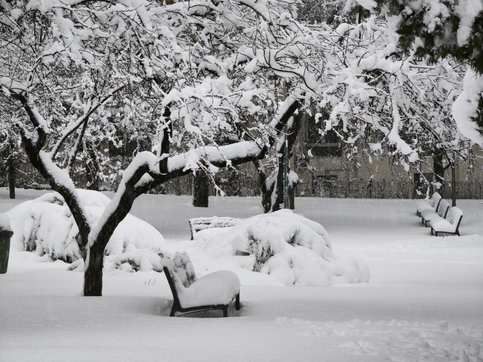 Cum arată Capitala sub jumătate de metru de zăpadă. Nu a mai nins așa mult în București de 18 ani: Copiii se joacă, adulții se plâng 1047191