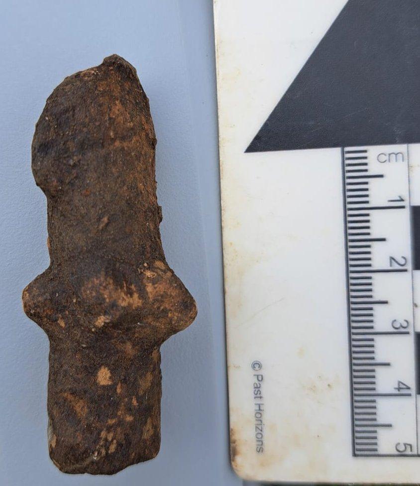 O statuetă străveche din lut, descoperită în Sfântu Gheorghe, va fi clasată ca „tezaur”. Cum a fost găsit artefactul misterios 1047271