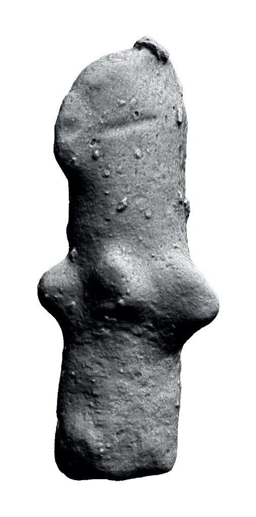 O statuetă străveche din lut, descoperită în Sfântu Gheorghe, va fi clasată ca „tezaur”. Cum a fost găsit artefactul misterios 1047273