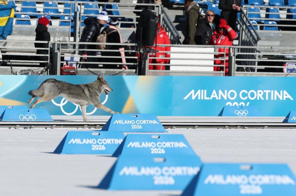 VIDEO Momente amuzante la JO 2026. Un cățel simpatic s-a luat după schioarele din proba de sprint și a trecut și el linia de sosire 1047235