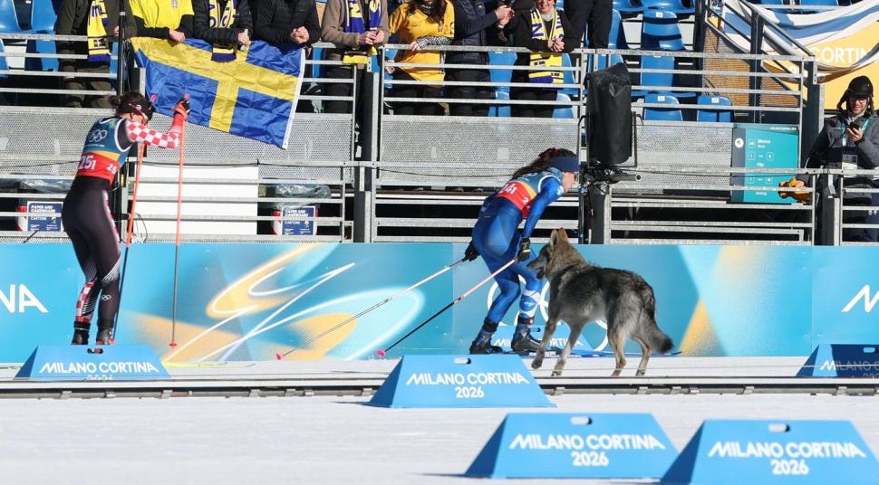 VIDEO Momente amuzante la JO 2026. Un cățel simpatic s-a luat după schioarele din proba de sprint și a trecut și el linia de sosire 1047237