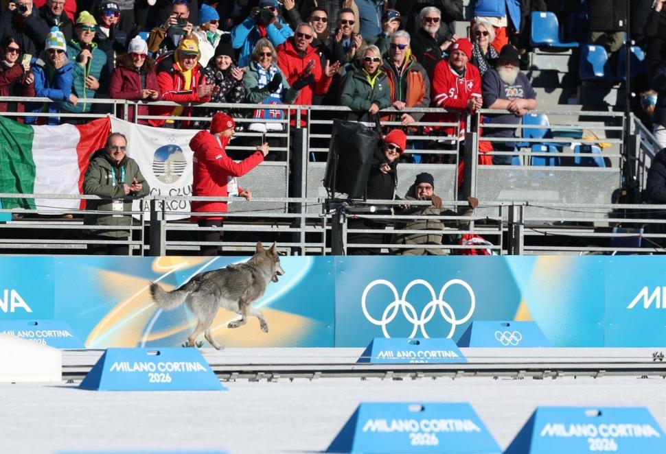 VIDEO Momente amuzante la JO 2026. Un cățel simpatic s-a luat după schioarele din proba de sprint și a trecut și el linia de sosire 1047240