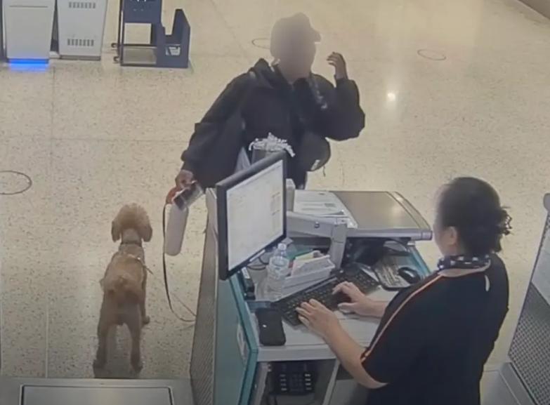 O femeie și-a abandonat cățelul în aeroport pentru că nu putea să urce cu el în avion. Polițiștii au întors-o din drum și au arestat-o 1047507