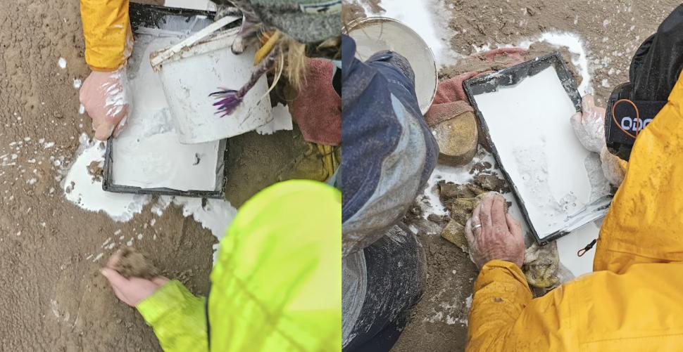 Descoperire arheologică într-o „cursă contra cronometru”: Urme de pași din epoca romană găsite pe plajă, înainte să le șteargă mareea 1047716