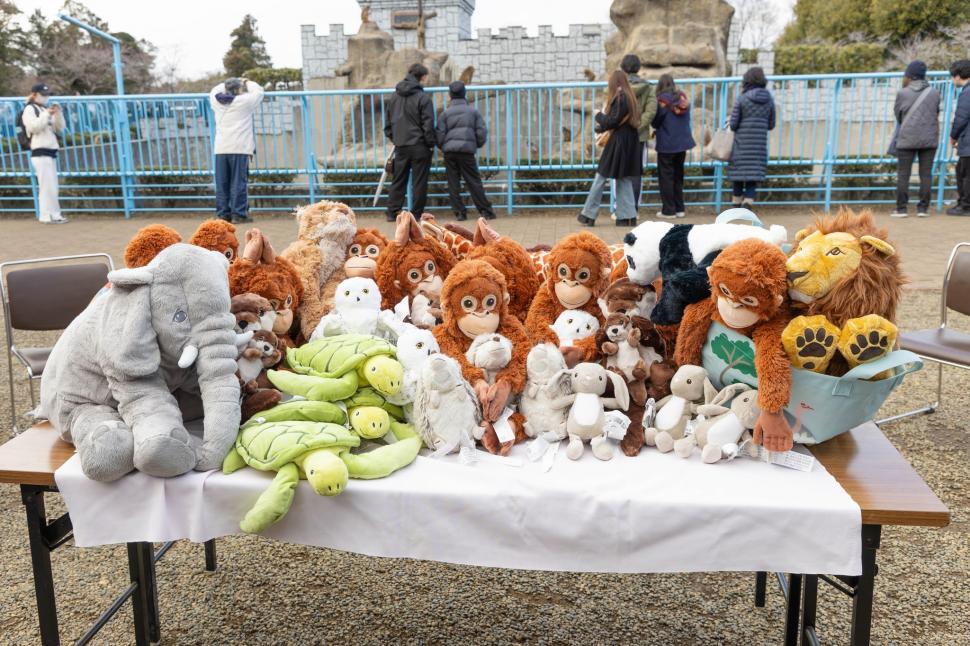 Urangutanul de pluș care ține loc de mamă pentru maimuțica orfană Punch e sold out în magazine IKEA din toată lumea. Cât costă jucăria 1048392