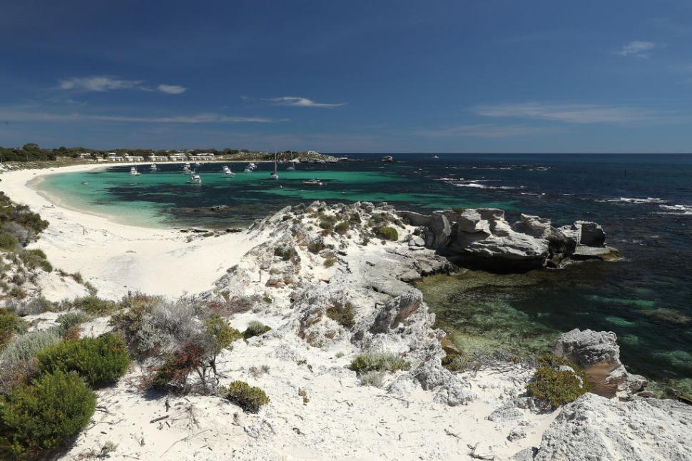 Insula idilică unde turiștii dorm pe morminte fără să știe: Mulți o vizitează pentru quokka și nu îi cunosc istoria întunecată 1048709