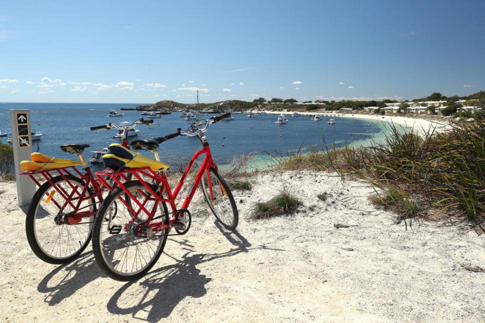 Insula idilică unde turiștii dorm pe morminte fără să știe: Mulți o vizitează pentru quokka și nu îi cunosc istoria întunecată 1048715