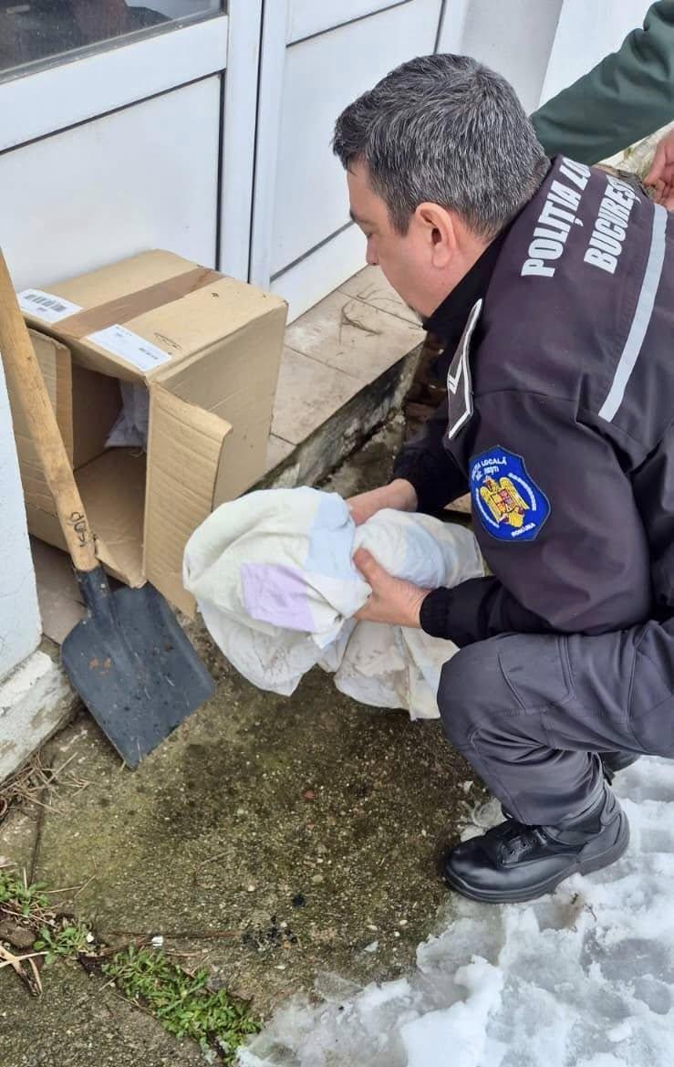 O pasăre spectaculoasă din Delta Văcărești, dintr-o specie protejată, a fost salvată după ce a rămas blocată în zăpadă 1048752