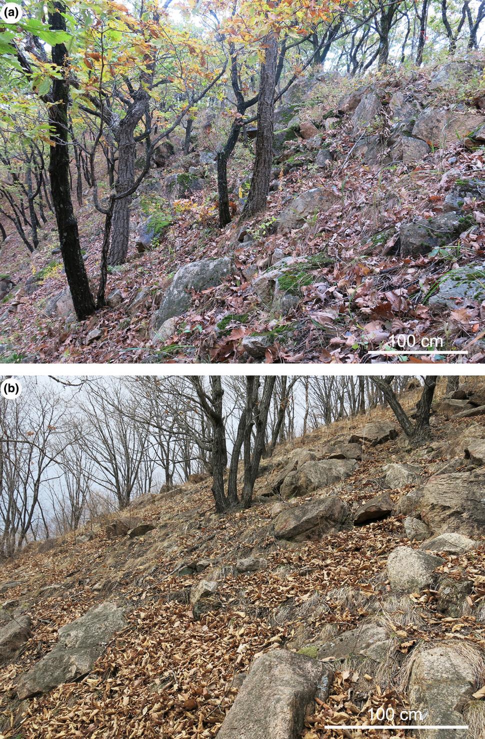 Un satelit a surprins pe Pământ rămășițele celui mai „tânăr” crater de impact din lume. Abia fusese descoperit, într-o pădure din China 1048656