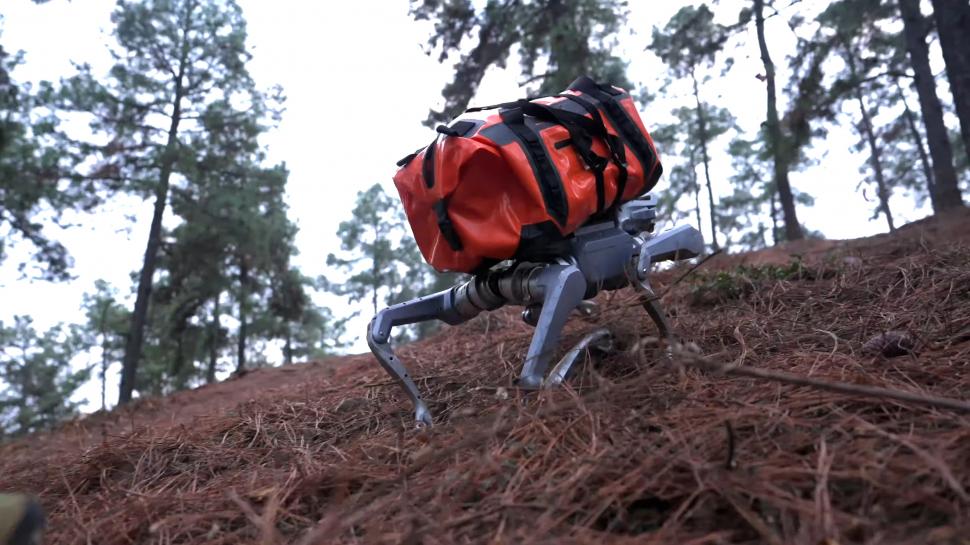 Câinele robot care poate să joace tenis dar și să muncească: „Companionul Tău” tocmai a fost lansat de gigantul tech chinez Unitree 1048954