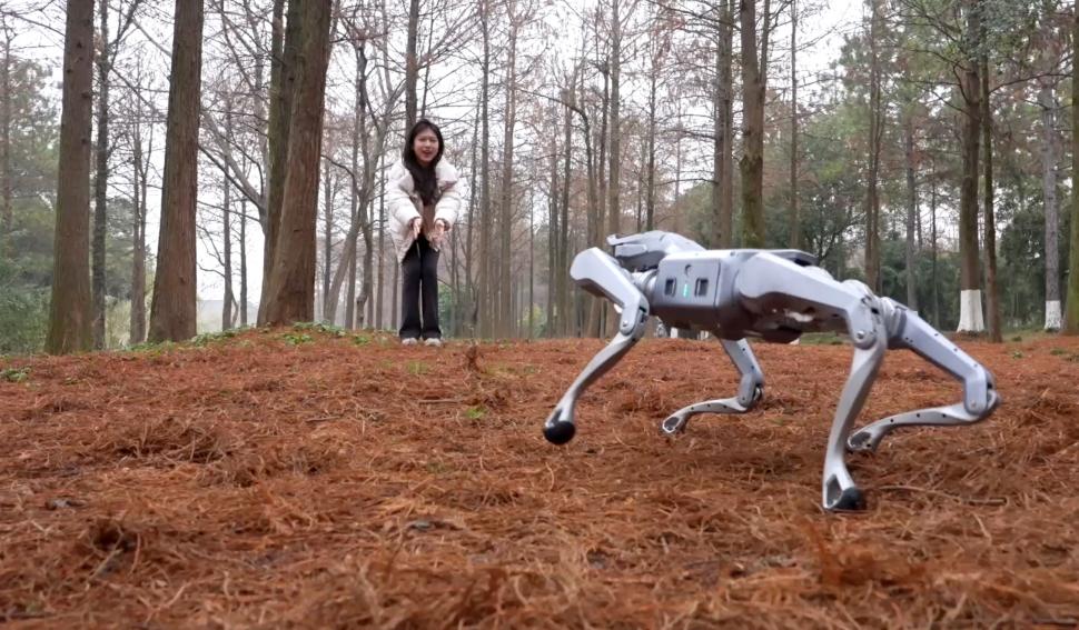Câinele robot care poate să joace tenis dar și să muncească: „Companionul Tău” tocmai a fost lansat de gigantul tech chinez Unitree 1048959