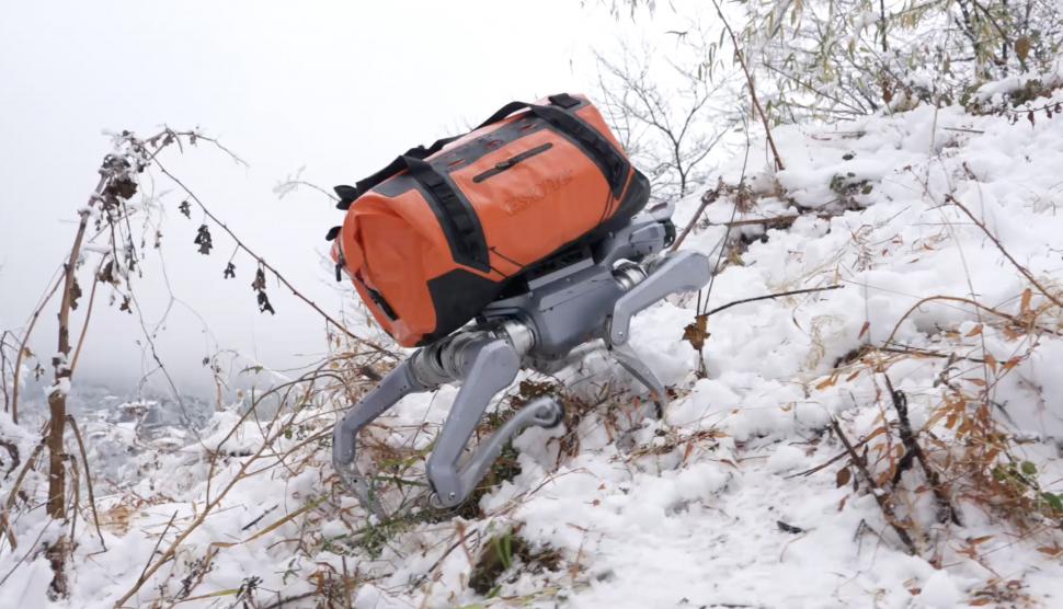 Câinele robot care poate să joace tenis dar și să muncească: „Companionul Tău” tocmai a fost lansat de gigantul tech chinez Unitree 1048960