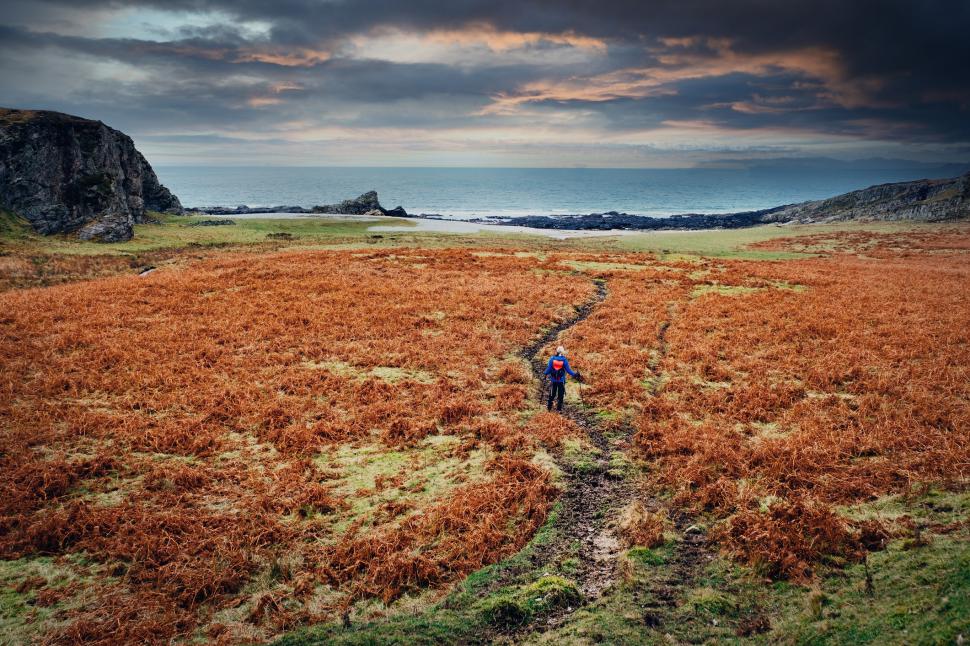 Job rar pe „insula whisky-ului” din Scoția. Se oferă salariu generos și cazare gratuită, dar există și o condiție 1049373