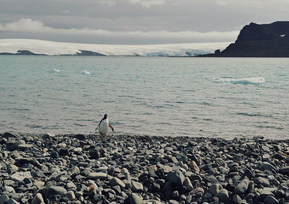 Nu avem stație în Antarctica. Dar avem cercetători care ajung acolo: „Asta e ceva ce ți se întâmplă o singură dată în viață” 1049785
