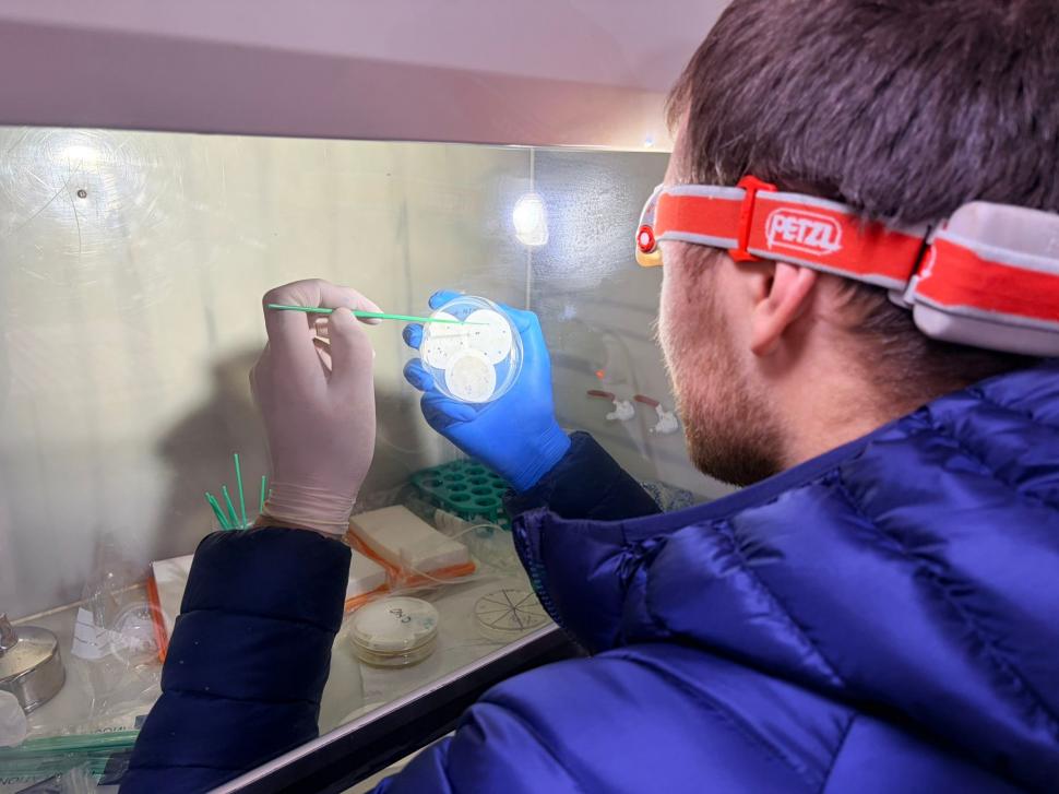 Nu avem stație în Antarctica. Dar avem cercetători care ajung acolo: „Asta e ceva ce ți se întâmplă o singură dată în viață” 1049790