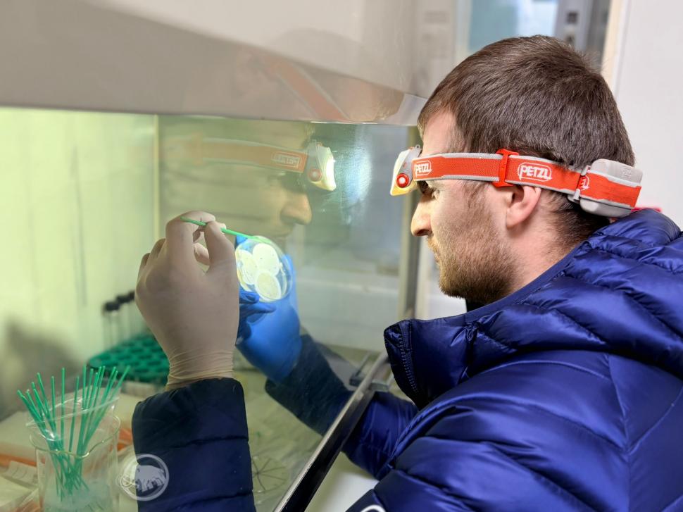 Nu avem stație în Antarctica. Dar avem cercetători care ajung acolo: „Asta e ceva ce ți se întâmplă o singură dată în viață” 1049799