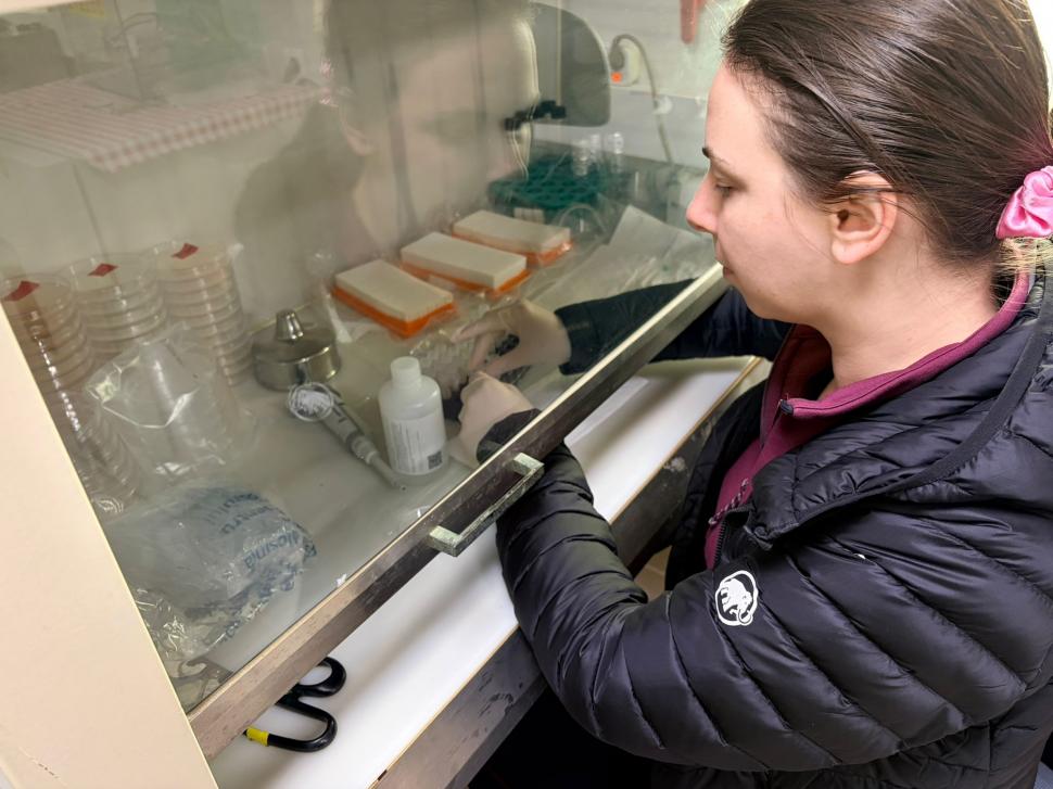 Nu avem stație în Antarctica. Dar avem cercetători care ajung acolo: „Asta e ceva ce ți se întâmplă o singură dată în viață” 1049804