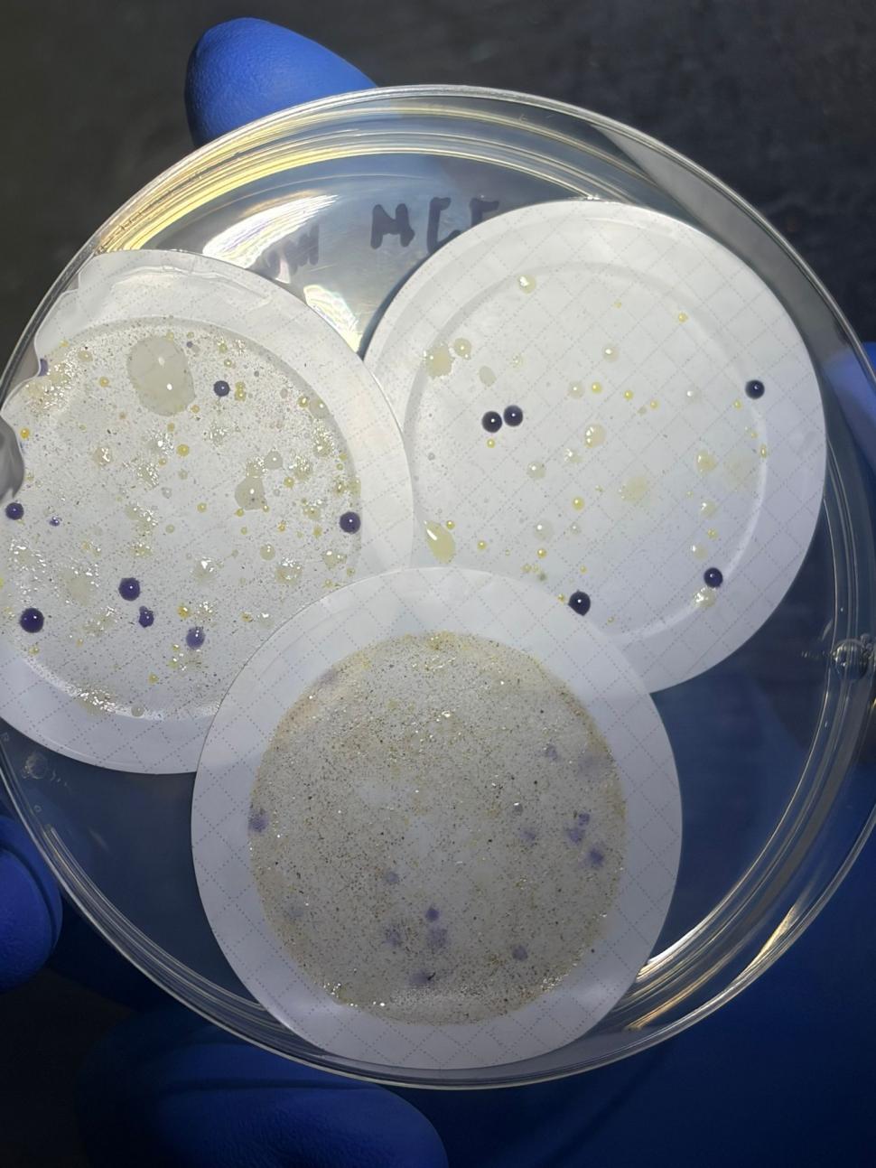 Nu avem stație în Antarctica. Dar avem cercetători care ajung acolo: „Asta e ceva ce ți se întâmplă o singură dată în viață” 1049809