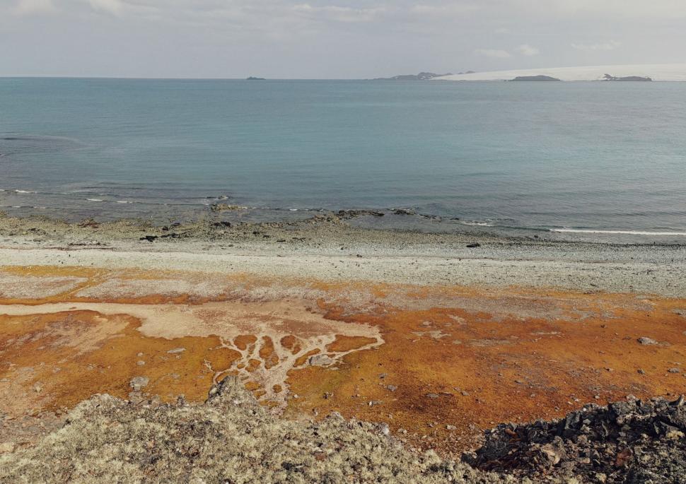 Nu avem stație în Antarctica. Dar avem cercetători care ajung acolo: „Asta e ceva ce ți se întâmplă o singură dată în viață” 1049817