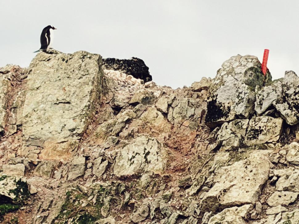 Nu avem stație în Antarctica. Dar avem cercetători care ajung acolo: „Asta e ceva ce ți se întâmplă o singură dată în viață” 1049818